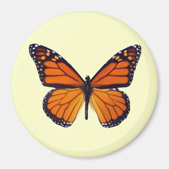 imán de mariposa naranja (Frente)