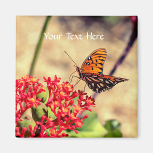 imán de mariposa personalizar