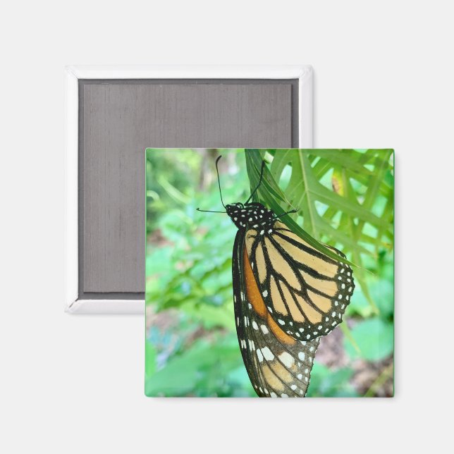 Imán de Mariposas (Anverso/Reverso)