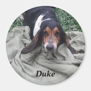 Imán de mascota Duke