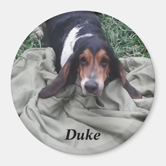 Imán de mascota Duke (Frente)