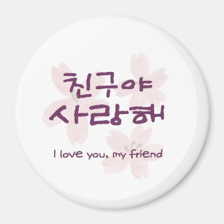 Imán de Mejor Amigo Coreano