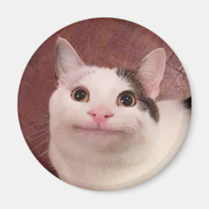 Imán de meme de gatos educados