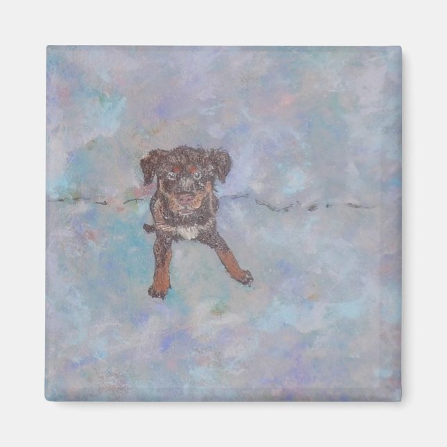 Imán de Mezcla de Lab Cute (Frente)