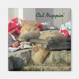 Imán de Nappin del gato