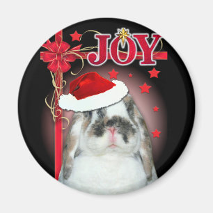 Imán de Navidad de la alegría