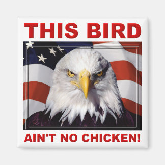 Imán de nevera American Eagle Ain't No Chicken
