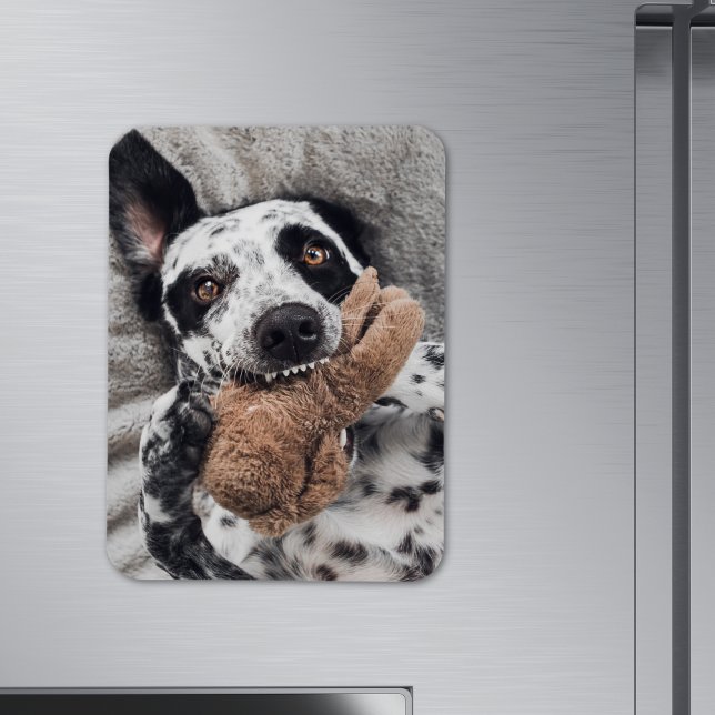 Imán de nevera con foto personalizada (Subido por el creador)