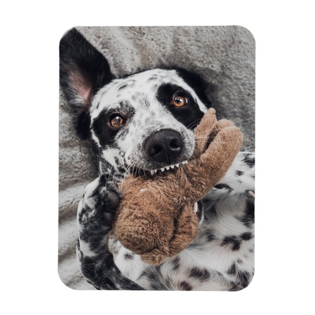 Imán de nevera con foto personalizada (Vertical)