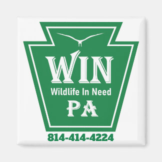 Imán de nevera con LOGO de WIN