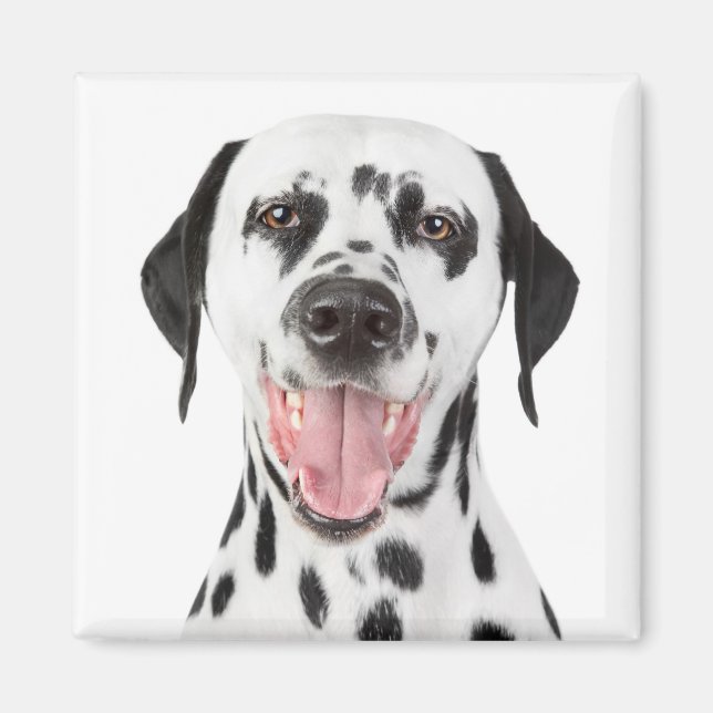 Imán de nevera de cachorro dálmata (Frente)
