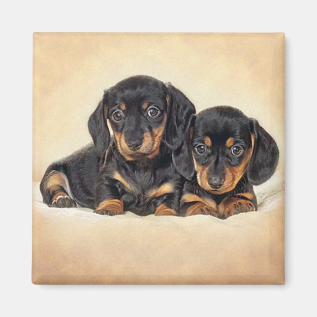 Imán de nevera de cachorro de perro Dachshund (Frente)