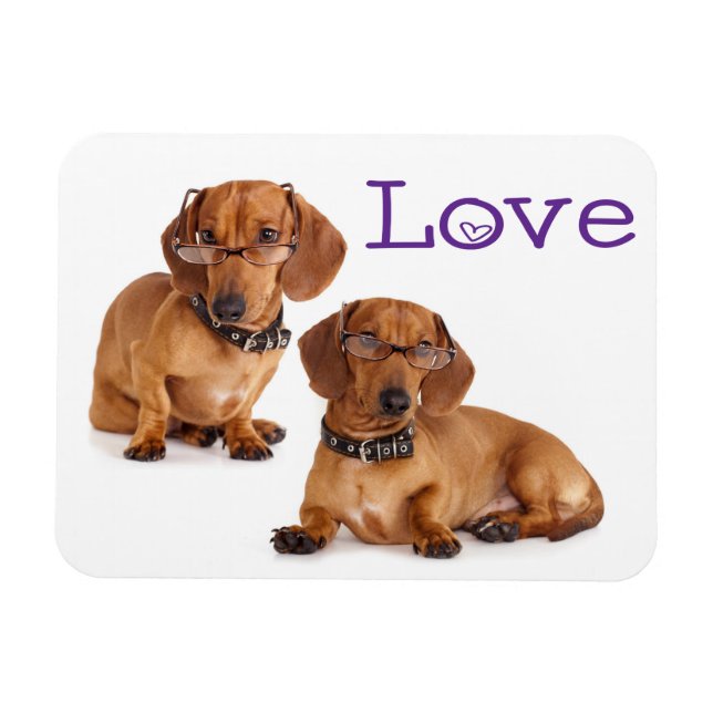 Imán de nevera de cachorro de perro Dachshund (Horizontal)