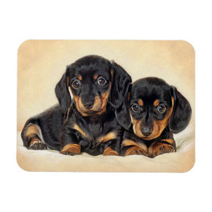 Imán de nevera de cachorro de perro Dachshund amor