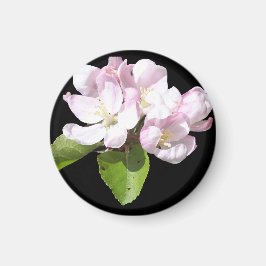 Imán de nevera de flor de manzano en primavera red