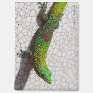 Imán de nevera de Gecko diurno de polvo de oro