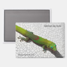 Imán de nevera de Gecko diurno de polvo de oro
