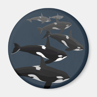 Imán de nevera de orca Ballena Arte de imanes de o