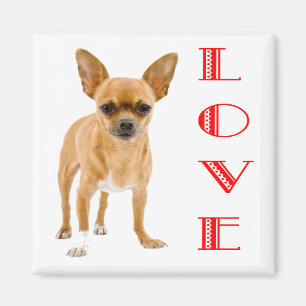 Imán de nevera de perro cachorro Chihuahua