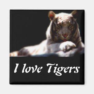 Imán de nevera de Tigre Blanco