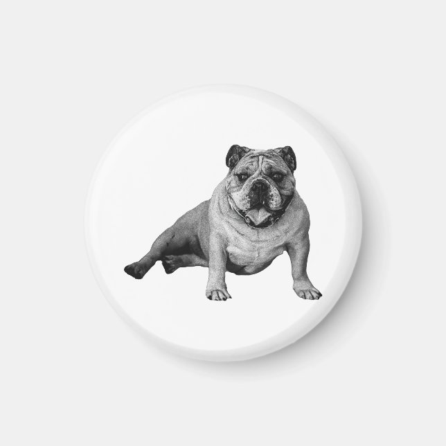 Imán de nevera de vacaciones de Bulldog (Frente)