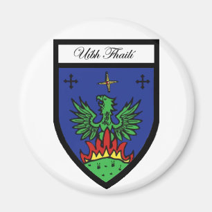 Imán de Offaly del condado