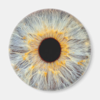 Imán de Ojo