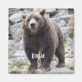 imán de oso Kodiak