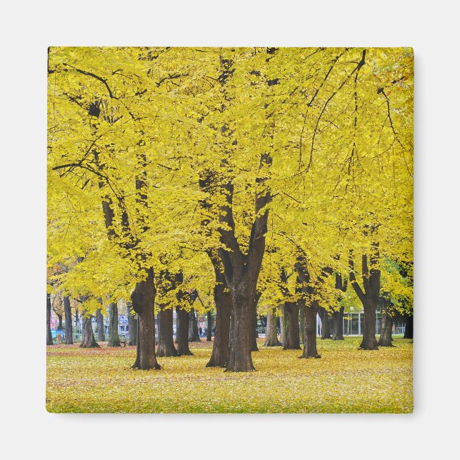 Imán de otoño (Frente)