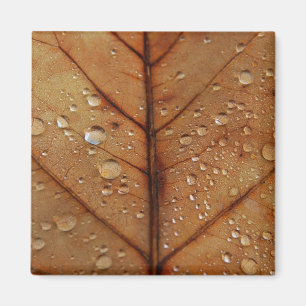 Imán de otoño