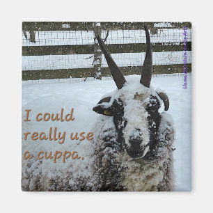 Imán de Oveja de Café #1 - Precioso