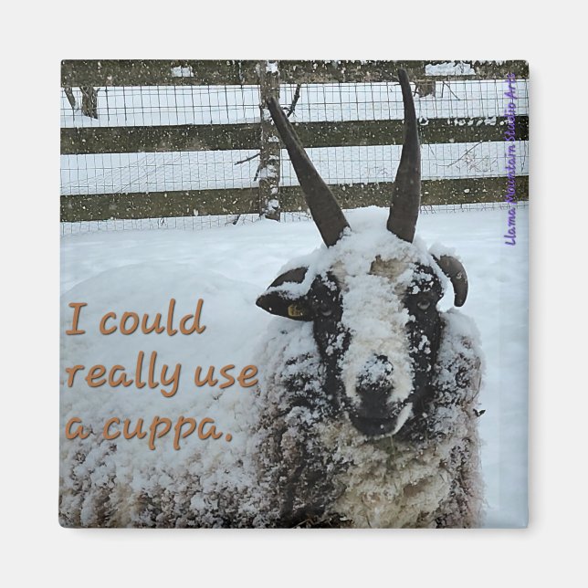 Imán de Oveja de Café #1 - Precioso (Frente)