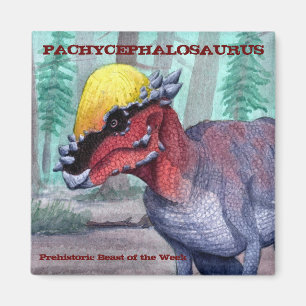 Imán de Pachycephalosaurus