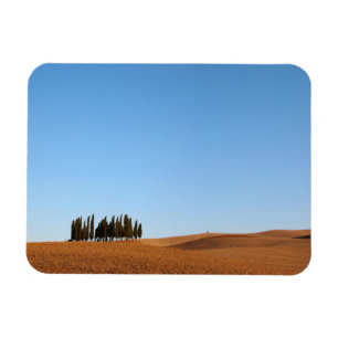Imán de paisaje rectangular de la Toscana con cipr