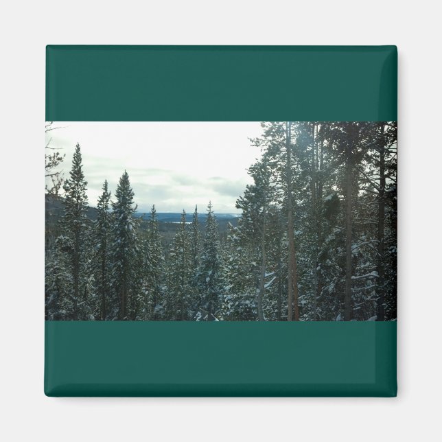 Imán de paisajes montañosos de pinos cubiertos de  (Frente)