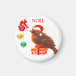 Imán de pájaro de Noel