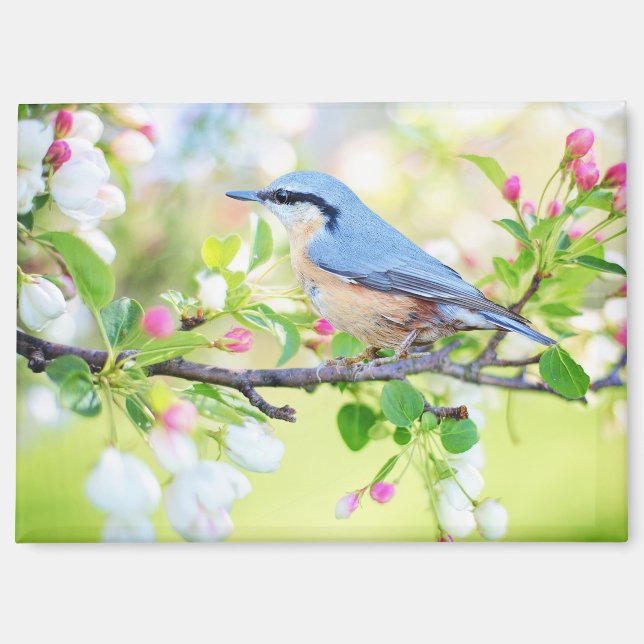 imán de pájaro en primavera (Anverso)