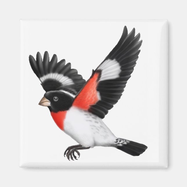 Imán de pájaro salvaje Grosbeak con pecho Rosa (Frente)