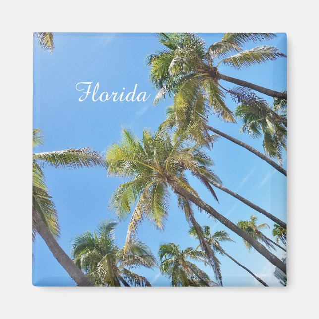 Imán de Palmeras de Florida (Frente)