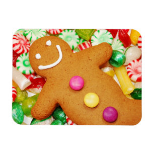 Imán de pan de jengibre delicioso