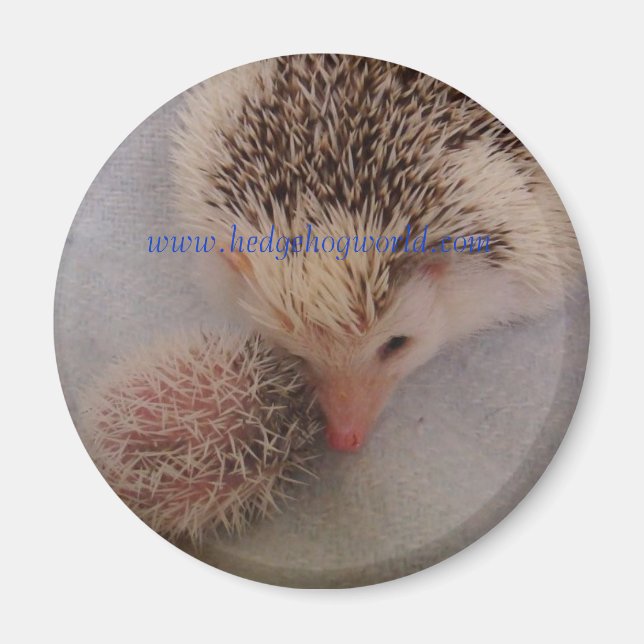 imán de par de entrada (Frente)