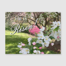 Imán de Pascua de Flores de Mayo Rosadas