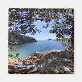 Imán de paso de la decepción