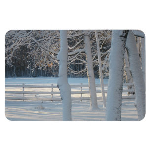 Imán de pastoreo del país