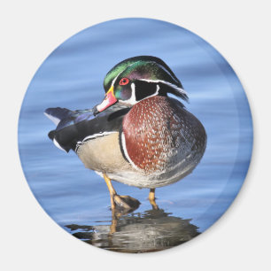 Imán de pato de madera