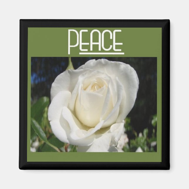 imán de paz (Frente)