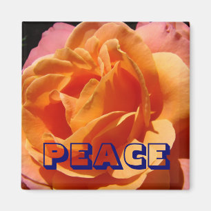 Imán de PAZ Naranja Flor de Rosa naturaleza