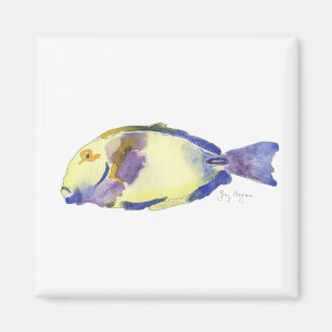 Imán de peces amarillo/azul