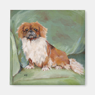Imán de Pekinés
