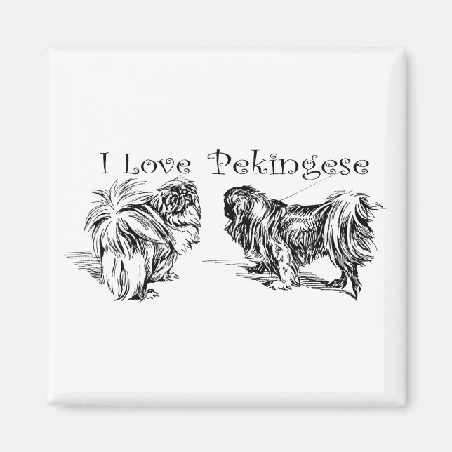 Imán de Pekingese (Frente)